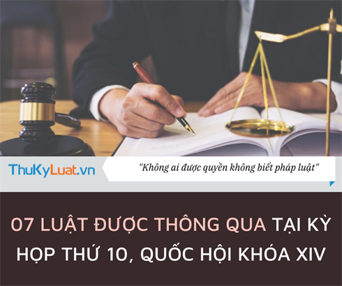 07 Laws promulgated at the 10th Session, 14th National Assembly of Vietnam?